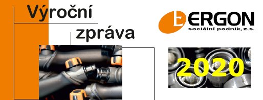 Výroční zpráva za rok 2020